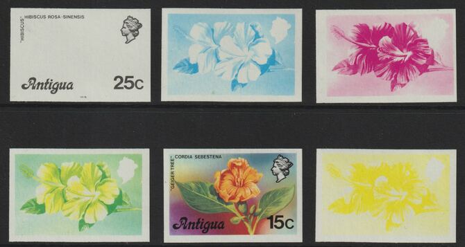 Antigua 1976 Hibiscus 25c (with imprint) set of 6 imperf progressive colour proofs comprising the 4 basic colours, blue & yellow composite plus all 4 colours (as SG 479B) unmounted mint, stamps on flowers