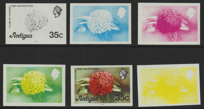 Antigua 1976 Flames of the Wood 35c (with imprint) set of 6 imperf progressive colour proofs comprising the 4 basic colours, blue & yellow composite plus all 4 colours (a..., stamps on flowers