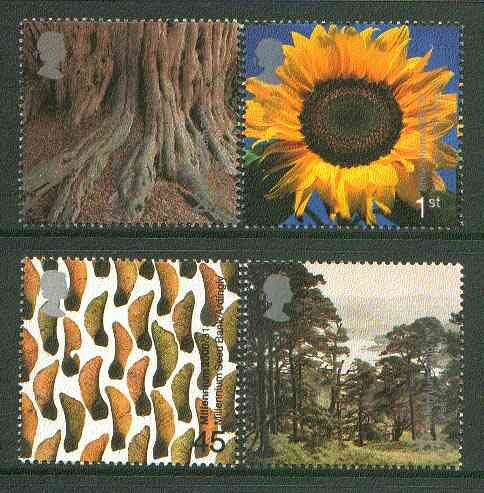 Great Britain 2000 Millennium Projects #08 - Tree & Life set of 4 unmounted mint SG 2156-59, stamps on trees, stamps on flowers, stamps on millennium