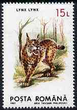 Rumania 1993 Lynx from Protected Animals set of 6 unmounted mint, SG 5528, Mi 4896*, stamps on animals    lynx     cats