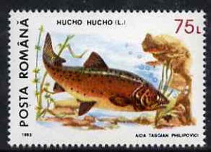 Rumania 1993 Salmon from Protected Animals set of 6 unmounted mint, SG 5530, Mi 4898*, stamps on , stamps on  stamps on fish    salmon