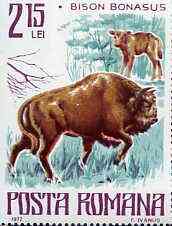 Rumania 1977 Bison from Endangered Animals set unmounted mint, SG 4287, Mi 3420*, stamps on animals    bison   bovine