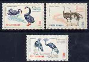 Rumania 1964 Birds set of 3 values from Bucharest Zoo set unmounted mint, SG 3198-3200,  Mi 2331-33, stamps on birds, stamps on cranes, stamps on swan, stamps on ostrich, stamps on  zoo , stamps on zoos    