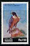 Pakistan 1986 Wildlife Protection (13th Series) 1r50 Falcon unmounted mint, SG 691, stamps on , stamps on  stamps on birds, stamps on  stamps on birds of prey, stamps on  stamps on falcon