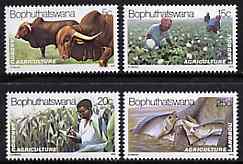 Bophuthatswana 1979 Agriculture set of 4 unmounted mint, SG 51-54*, stamps on agriculture, stamps on cattle, stamps on cotton, stamps on maize, stamps on fishing
