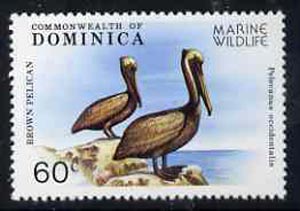 Dominica 1979 Brown Pelican 60c unmounted mint from Marine Wildlife set, SG 663*, stamps on birds, stamps on pelican
