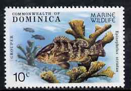 Dominica 1979 Grouper Fish & Coral 10c unmounted mint from Marine Wildlife set of 6, SG 660, stamps on fish, stamps on coral, stamps on marine life