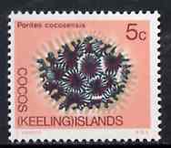 Cocos (Keeling) Islands 1969 Coral 5c value from 1969 Decimal Currency def set unmounted mint, SG 12, stamps on coral     marine-life