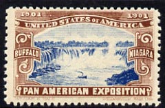 Cinderella - United States 1901 Pan American Exposition perforated label showing Niagara Falls in brown & blue*, stamps on waterfalls    cinderella