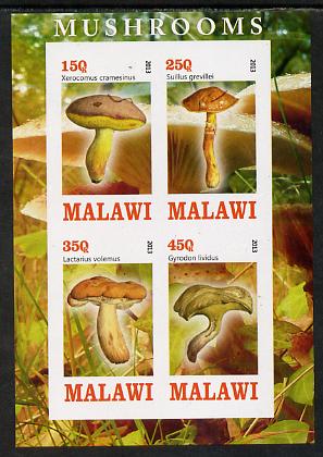Malawi 2013 Fungi #4 imperf sheetlet containing 4 values unmounted mint, stamps on , stamps on  stamps on fungi