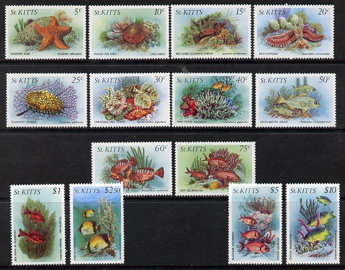 St Kitts 1984 Marine Life perf set of 14 complete unmounted mint, SG143-56, stamps on marine life, stamps on fish