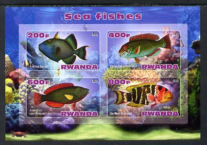 Rwanda 2013 Sea Fish #1 imperf sheetlet containing 4 values unmounted mint, stamps on marine life, stamps on fish