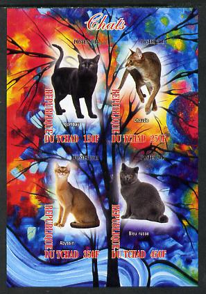 Chad 2013 Domestic Cats #1 imperf sheetlet containing 4 values unmounted mint, stamps on cats