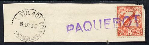 New Guinea used in Solomon Islands - 2d adhesive on piece postmarked Tulagi 8 JY 38, stamp tied by straight line PAQUEBOT handstamp, stamps on 