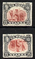 Nyassa Company 1901 Dromedaries 75r with inverted centre plus normal both mounted mint, SG 34a, stamps on animals, stamps on camels