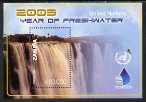 Zambia 2005 International Year of Freshwater perf m/sheet unmounted mint SG MS 922b, stamps on waterfalls