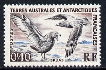French Southern & Antarctic Territories 1956-60 Great Skuas 40c unmounted mint SG 3, stamps on polar, stamps on birds