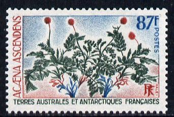 French Southern & Antarctic Territories 1973 Plants - Acaena ascendens 87f unmounted mint SG 84, stamps on polar, stamps on plants