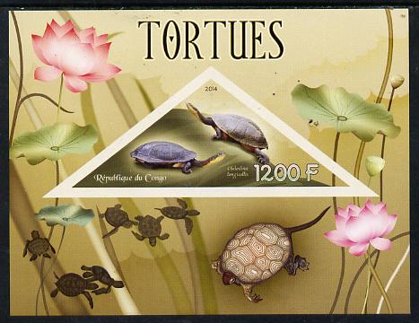 Congo 2014 Turtles imperf s/sheet containing one triangular-shaped value unmounted mint , stamps on , stamps on  stamps on shaped, stamps on  stamps on triangular, stamps on  stamps on reptiles, stamps on  stamps on turtles