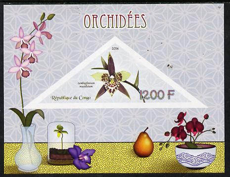 Congo 2014 Orchids imperf s/sheet containing one triangular-shaped value unmounted mint , stamps on shaped, stamps on triangular, stamps on flowers, stamps on orchids