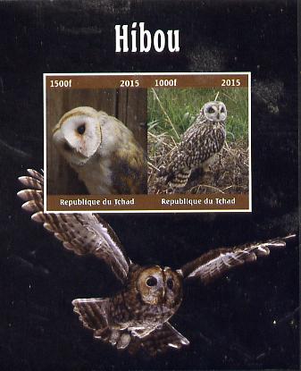 Chad 2015 Owls #1  imperf sheetlet containing 2 values unmounted mint. Note this item is privately produced and is offered purely on its thematic appeal. . , stamps on , stamps on  stamps on birds, stamps on  stamps on owls, stamps on  stamps on birds of prey