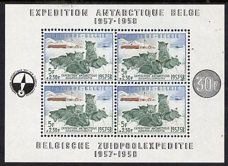 Belgium 1957 Belgian Antarctic Expedition (Sledge Dogs) perf m/sheet unmounted mint SG MS1620, stamps on polar, stamps on dogs, stamps on 