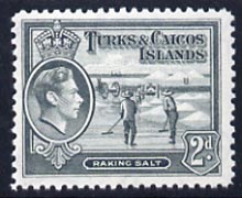 Turks & Caicos Islands 1938 KG6 Raking Salt 2d grey unmounted mint, SG 198*, stamps on salt, stamps on herbs, stamps on spices, stamps on food, stamps on , stamps on  kg6 , stamps on , stamps on minerals