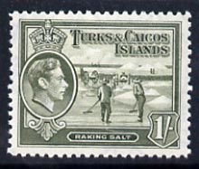 Turks & Caicos Islands 1938 KG6 Raking Salt 1s grey-olive unmounted mint, SG 202a*, stamps on salt, stamps on herbs, stamps on spices, stamps on food, stamps on , stamps on  kg6 , stamps on , stamps on minerals