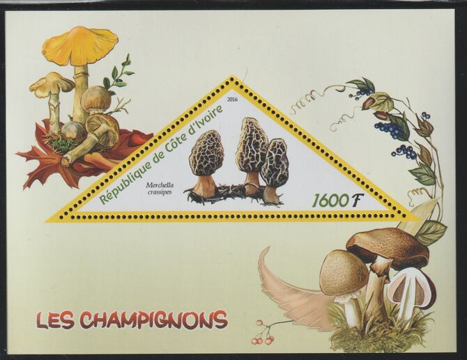Ivory Coast 2016 Mushrooms perf deluxe sheet containing one triangular value unmounted mint, stamps on triangular, stamps on shaped, stamps on fungi