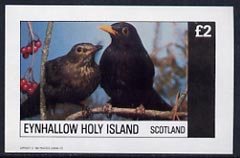 Eynhallow 1982 Birds #16 (Blackbird) imperf deluxe sheet (Â£2 value) unmounted mint, stamps on birds