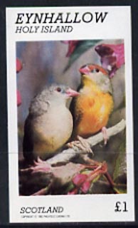 Eynhallow 1982 Love Birds imperf souvenir sheet (Â£1 value) unmounted mint, stamps on , stamps on  stamps on birds