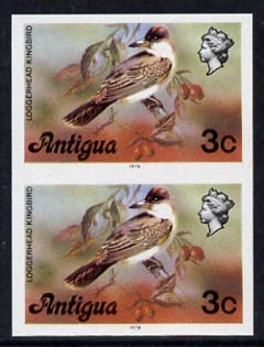 Antigua 1976 Loggerhead Kingbird 3c (with imprint) unmounted mint imperforate pair (as SG 472B), stamps on , stamps on  stamps on birds