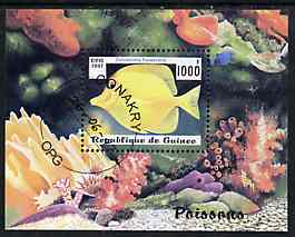 Guinea - Conakry 1997 Fish m/sheet cto used, stamps on fish