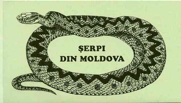 Moldova 1993 WWF Protected Animals (Snakes) 104r booklet complete and pristine (contains 2 complete sets), stamps on wwf, stamps on reptiles, stamps on snakes, stamps on  wwf , stamps on , stamps on snake, stamps on snakes, stamps on 
