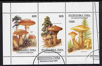 Touva 1997 Mushrooms perf sheetlet containing complete set of 3 values cto used, stamps on fungi