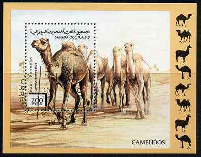 Sahara Republic 1996 Camels perf set of 6 very fine cto used*, stamps on animals, stamps on camels