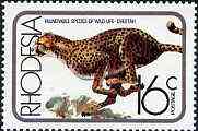 Rhodesia 1976 Cheetah 16c from Vulnerable Wildlife set unmounted mint, SG 532*, stamps on animals, stamps on cats, stamps on cheetah