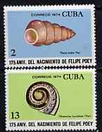 Cuba 1974 the two Shell values from Felipe Poey (Naturalist) set unmounted mint, SG 2126 & 2129, stamps on shells