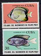 Cuba 1974 the two Fish values from Felipe Poey (Naturalist) set unmounted mint, SG 2127 & 2130, stamps on fish