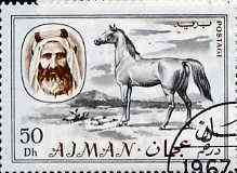 Ajman 1967 Horse 50Dh cto used from Transport perf set of 14, Mi 134*, stamps on animals    horses, stamps on horse racing