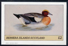 Bernera 1982 Ducks #4 imperf  deluxe sheet (Â£2 value) unmounted mint, stamps on birds