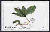 Staffa 1982 Flowers #08 imperf  deluxe sheet (Â£2 value) unmounted mint, stamps on flowers