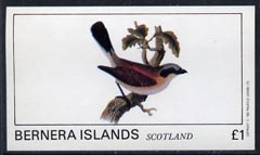 Bernera 1982 Birds #09 imperf  souvenir sheet (Â£1 value) unmounted mint, stamps on birds   