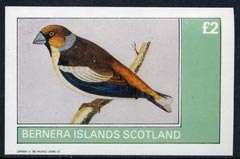 Bernera 1982 Birds #09 imperf  deluxe sheet (Â£2 value) unmounted mint, stamps on birds   