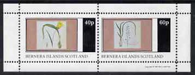 Bernera 1981 Flowers #04 perf  set of 2 values (40p & 60p) unmounted mint, stamps on flowers