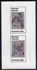 Bernera 1982 Plants #1 imperf set of 2 values (40p & 60p) unmounted mint, stamps on flowers  