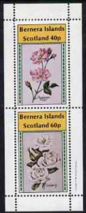 Bernera 1981 Roses (American Pillar & Iceberg) perf  set of 2 values (40p & 60p) unmounted mint, stamps on flowers    roses