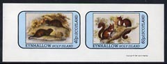 Eynhallow 1981 Animals #04 (Water Rat & Red Squirrel) imperf set of 2 values (40p & 60p) unmounted mint, stamps on animals     rats      squirrels     rodents