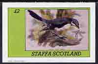 Staffa 1982 Birds #76 (Grey Shrike) imperf deluxe sheet (Â£2 value) unmounted mint, stamps on birds  shrike