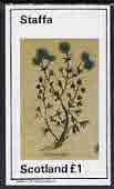 Staffa 1982 Herbs (Coriander) imperf  souvenir sheet (Â£1 value) unmounted mint, stamps on flowers     herbs & spices